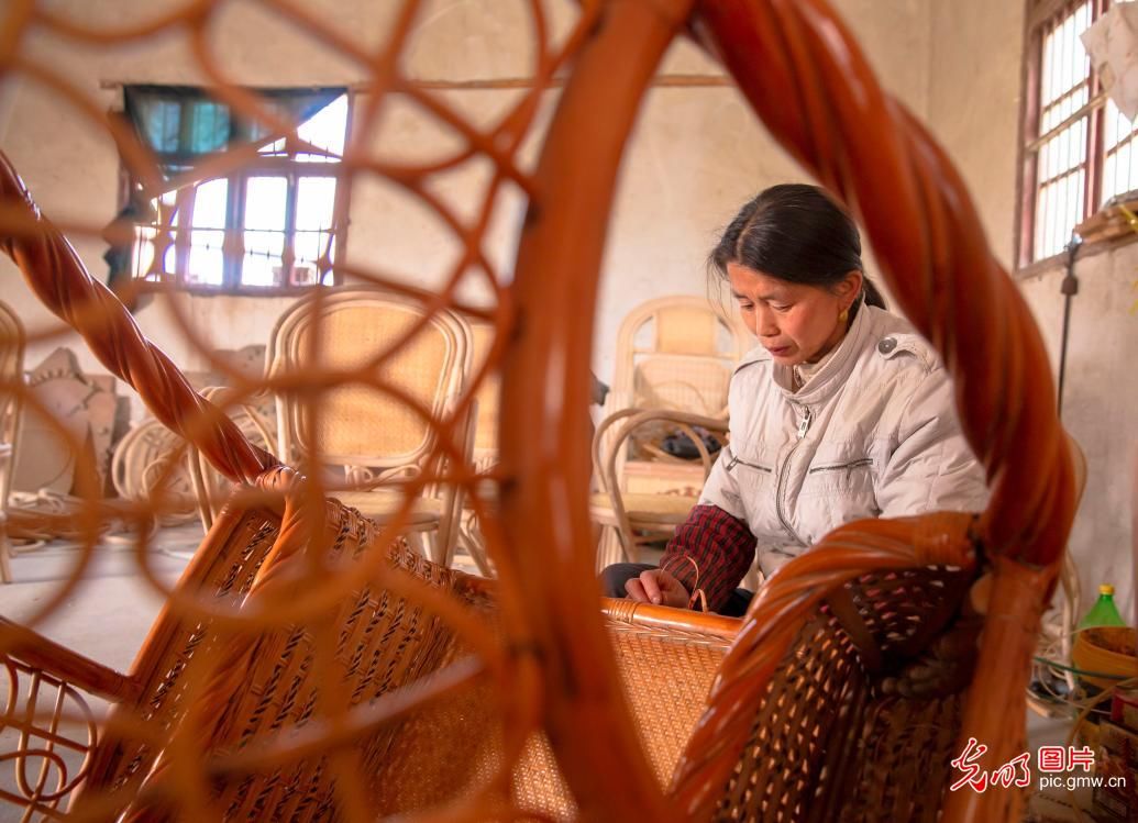  藤编：江苏海安：生态藤编助农增收