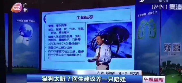 还在相信怀孕不能养宠物吗？ 连央视新闻都出来辟谣了!