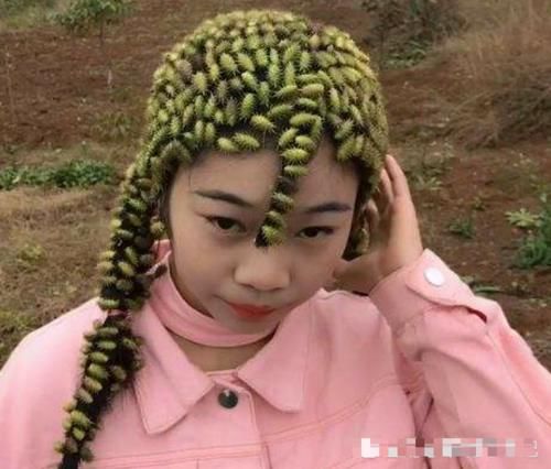 果实会粘头发，一斤却要10元，但农村常当杂草，你们认识吗？