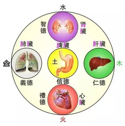  「女人」女人，你不懂中医五行，用什么化妆品都没用！