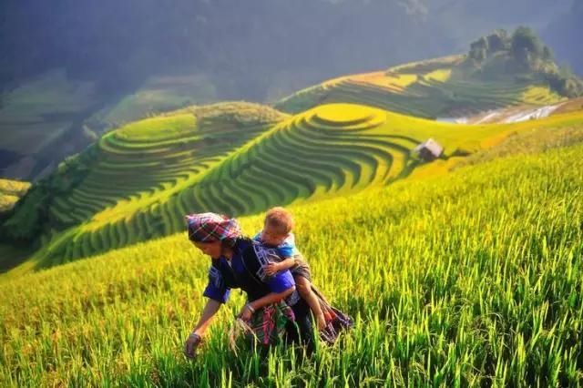  #盘点#盘点一组照片，来欣赏下美丽的越南风景吧！