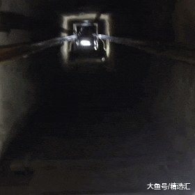 通过19个画面了解从不同角度所看到的世界