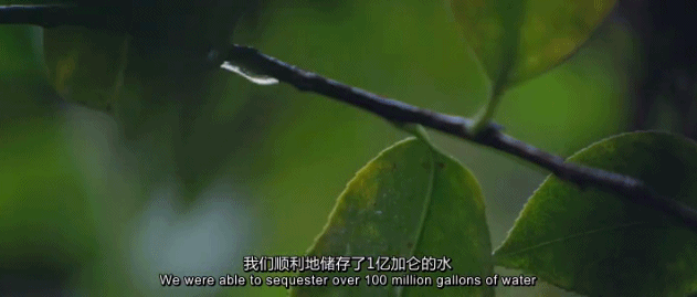  『世外桃源』豆瓣9.2，这「成人」的童话世界太疯狂