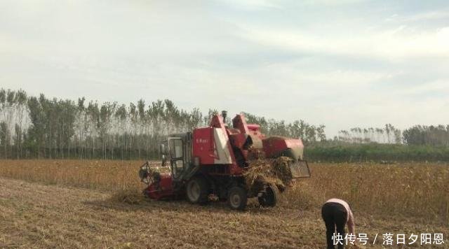 在农村，这5个小生意投入少收益高，想创业的农民不防试试