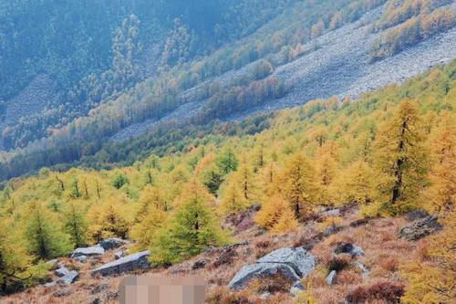 陕西国庆最冷清景点，是5A级景区，还是长江与黄河的分水岭！