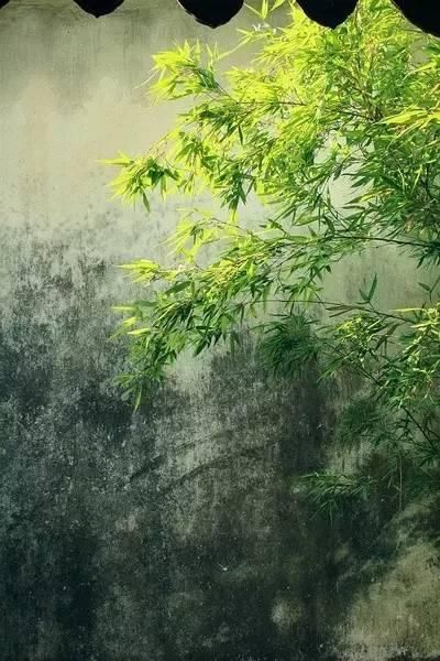 『之美』中式园林,中国人的造梦艺术