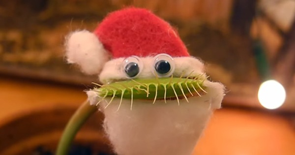 你听说过多少网传驱蚊妙招，这些真的可信吗？