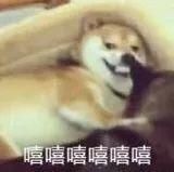  『限时折扣』100+的千元精华平替，成分党看了心跳加速！