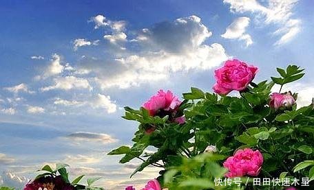 十三朝古都、古丝绸之路的东方起点，厉害了洛阳！