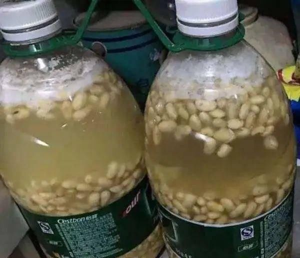  【干净的塑料】发现了一种“养花神器”——塑料瓶