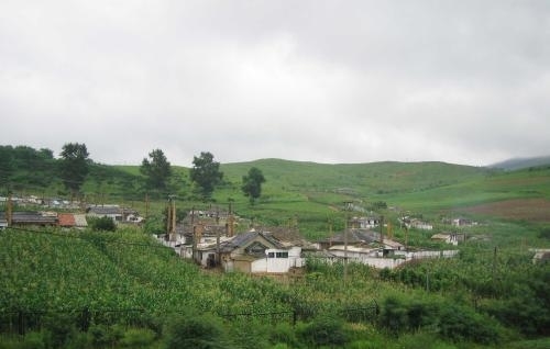 农村机会来了！中央一号文件大力支持这些产业发展！有适合你的吗