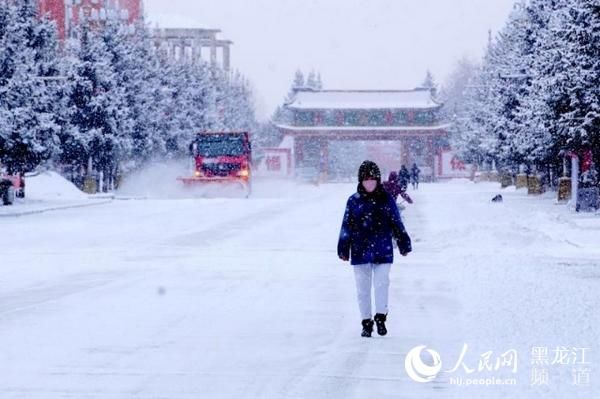  『降雪』黑龙江漠河：迎来入春最大降雪 雪深10厘米