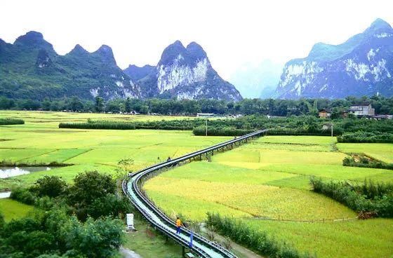 广西十多个县获“自治区级生态县”称号，点进来看有没有你家乡!