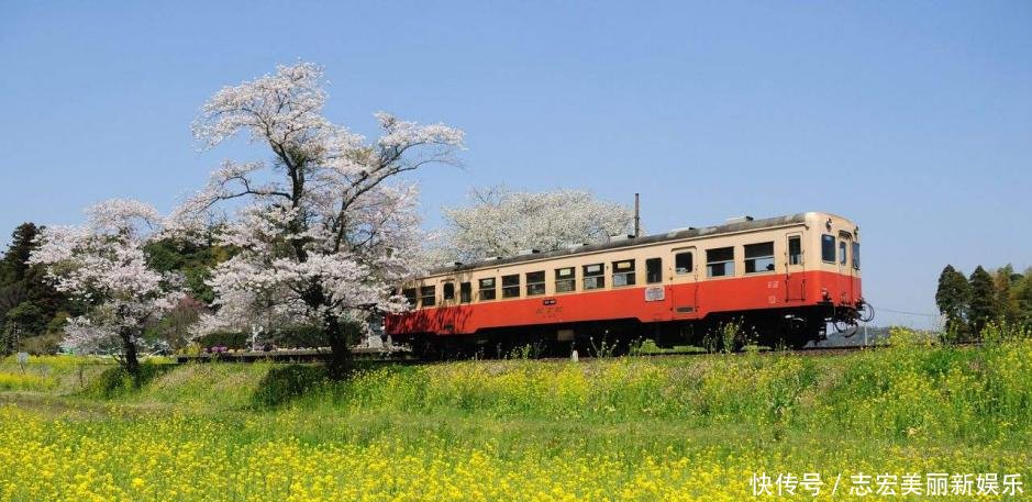 高铁的座位是一个朝向，为何火车却是面对面坐理由过分真实