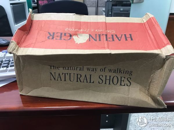 勃肯?别开玩笑了这个是haflinger