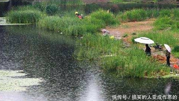 『春季』初夏钓鱼套路多,抓住这些变化规律,上鱼更多!