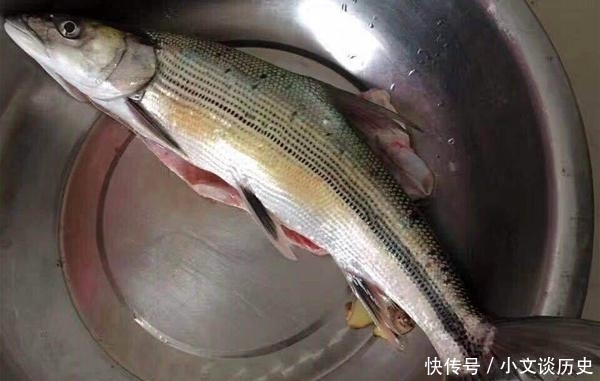 曾经的“长江一霸”，如今却无奈出国，到别国“求生存”