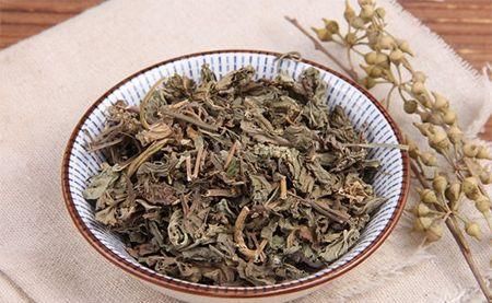 「春天」出门就可见的植物,春天人人爱吃的野菜,营养价值高