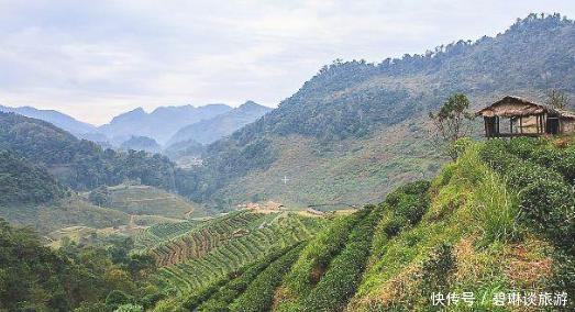 既是中华十大名山，又是避暑胜地，为何驴友们却吐槽再也不去？