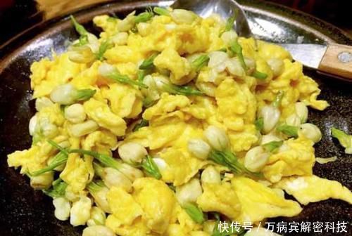 『家里』家里养这3种花赚了,不仅漂亮还好吃,炒鸡蛋贼美味!