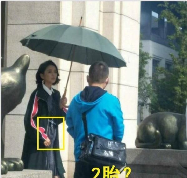 佟丽娅亲证2胎传言，网友大跌眼镜！