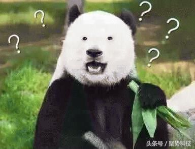 女生实用小程序推荐，每个女生都应该收藏的小程序！