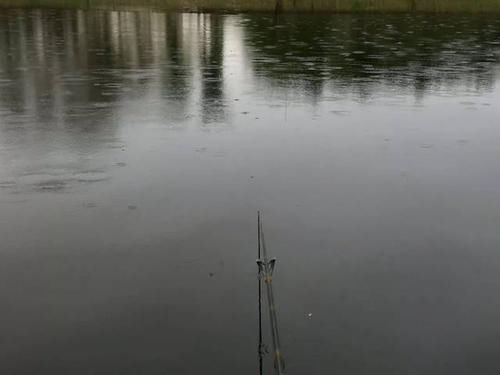  『降温』告诉你那帮钓友，雨天你们都钓错了！