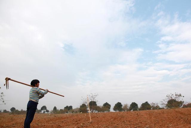  [农具]农村六七十年代5种老农具，认识2个正常，5个都认识，说明