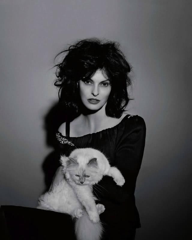  『Choupette』时尚教父“老佛爷”生前养的这只猫，有多幸运就有多难过