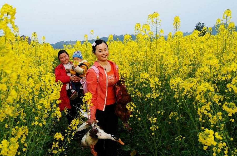 农村走亲戚，越来越像“演戏”，走个过场就走，饭都不吃，为何