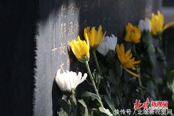  『婚姻登记』吉林市民政局发布，暂停婚姻登记与现场扫墓