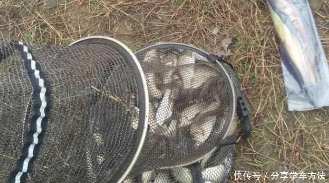 『钓友』一直忘了跟你说,冬钓必不可少的几个秘诀都在这,板鲫再大也得上