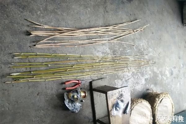 『鲶鱼』民间野钓狠招数:夏季插杆夜钓鲶鱼技巧,这是最简单的鲶鱼钓法!