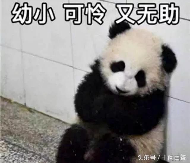 微信上加的补肾中医，真的靠谱？真相你绝对想不到