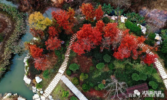  「好去处」沭阳又添好去处！七彩旱道、玻璃栈道、鳄鱼馆等都来了！