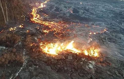 夏威夷活火山喷发 熔浆吞噬森林