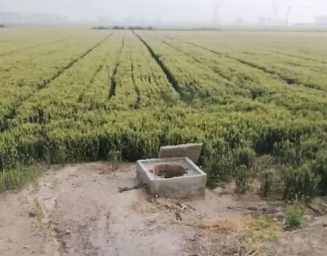 中国突然发现一井底村，村民隔绝外界几千年，太震撼了！