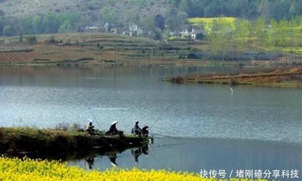 #常用#清明过后鲫鱼应该这样钓,几个常用老套路,让你轻松钓到的大鲫鱼