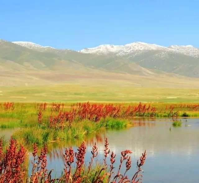 中国最美的10大风光