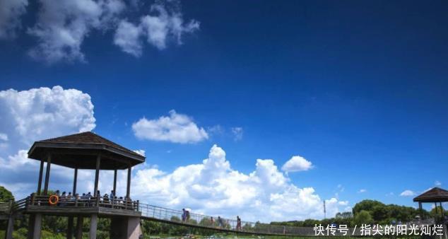 山东花180亿打造的景区,一个会之后就被“废弃”,让人太心疼