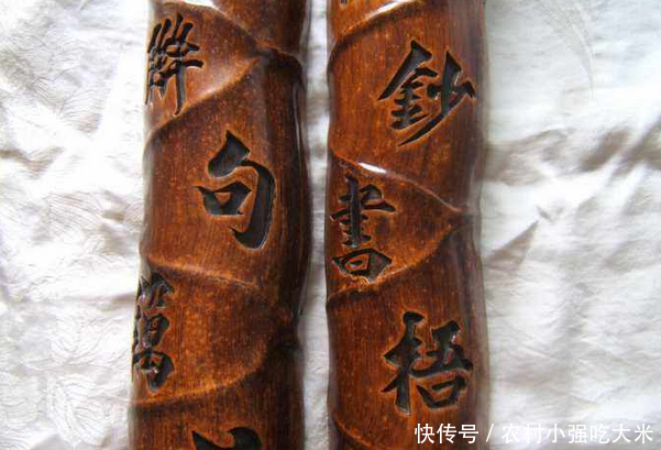 长相奇怪的竹子，乡下人做柴烧，殊不知价已过万