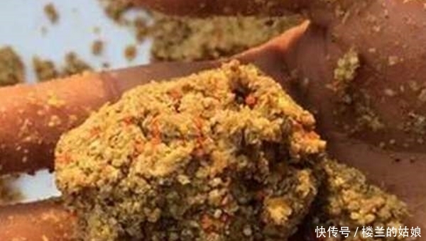 「手竿」手竿钓鲤鱼秘诀有两个,注意打窝和调漂,鲤鱼再大也能钓到!