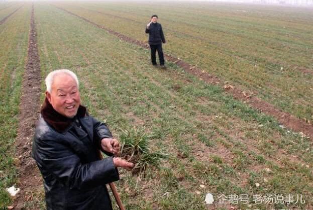 农村老人60岁还在种地打工,为啥农民会这么苦