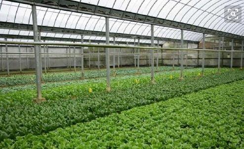 从今天起，农村将禁止做这5件事