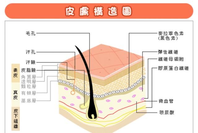  『支撑点』泥土松了产生了泥石流，而皮肤松了则产生了赘肉！