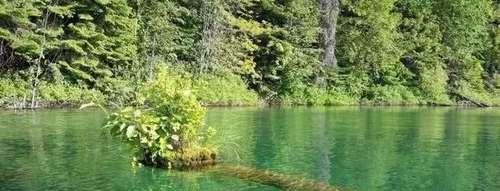 20张不可思议的照片，证明大自然无所不能！