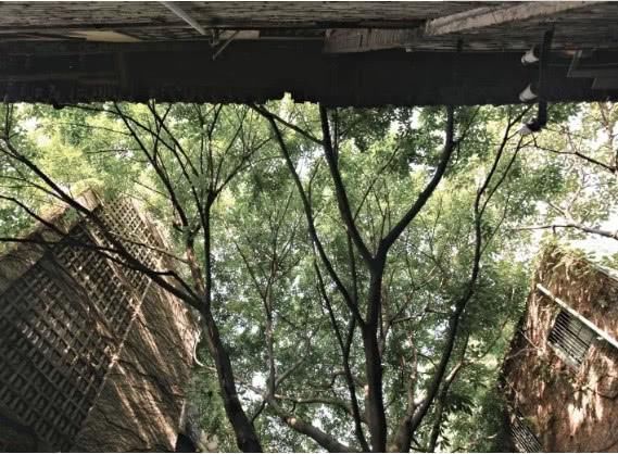 曾经的印刷一厂——重庆老厂之旅，母城的文化记忆