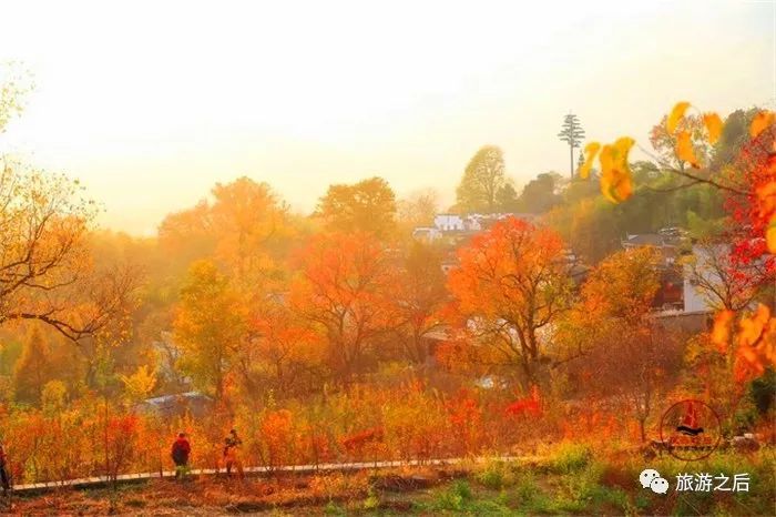 皖南的塔川,秋天的骄傲,极美的色彩天堂