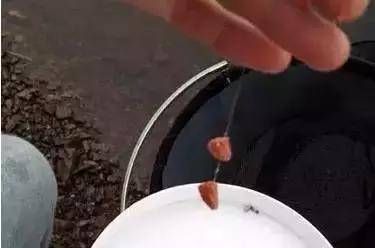  [鱼率]野钓鲫鱼，口碎且杂，刺鱼率极低，可以从这几个角度分析一下原因