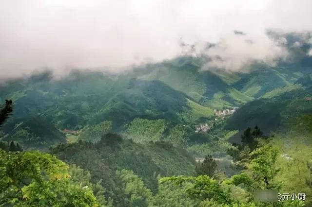  [拳头菜]每逢清明，思念骤起，这9种野菜做法，你最喜欢哪种呢？